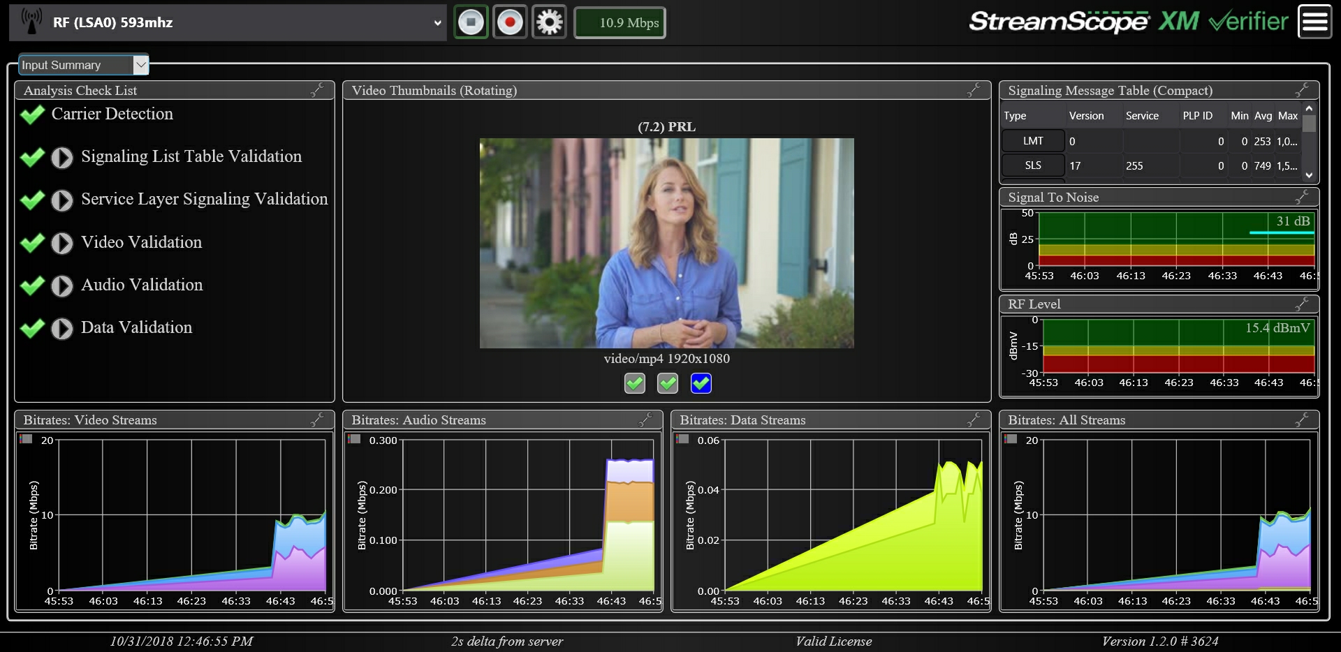 StreamScope XM Verifier Input Summary View